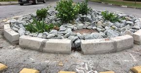Jardins de chuva viram redutos de área verde em São Paulo