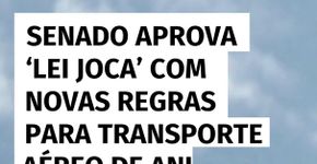 Senado aprova ‘Lei Joca’ com novas regras para transporte aéreo de animais