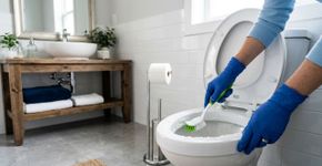 Sem água sanitária: o método mais eficiente para remover a sujeira do vaso sanitário