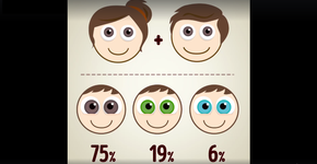 Vídeo mostra as probabilidades de cor dos olhos dos seus filhos