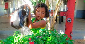 Escola em Roraima incentiva crianças a preservar ambiente