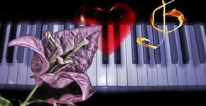 Recital de piano no “Sábado Harmônico”