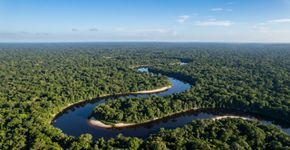 Mais de 2,2 milhões de hectares de floresta amazônica contínua: o parque amazonense que protege praticamente toda a bacia de um rio de águas pretas e reúne formações geológicas que vão de poucos milhões a mais de 500 milhões de anos