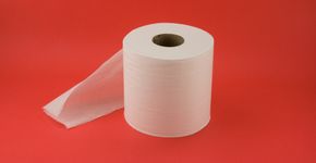 Aprenda a discordar usando a lógica do papel-higiênico