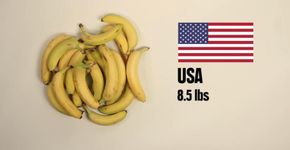 Vídeo mostra  quanta comida você pode comprar com US$5 em diferentes países