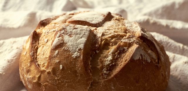 Aprenda a fazer pão italiano com casca crocante e miolo macio