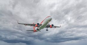 Foto: (Foto: Miguel Cuenca/Pexels)