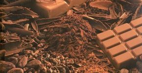 Chocolate é tema de palestra no Sesc