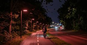 A Dinamarca está apagando a luz branca dos postes e pintando o asfalto de vermelho para resolver um dilema noturno que quase ninguém nota: a iluminação urbana estava atrapalhando o caminho dos morcegos