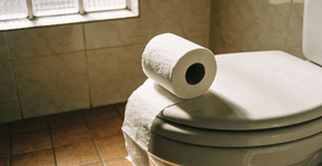 Por que o papel higiênico não deve ser jogado no vaso sanitário. Finalmente descobri a resposta