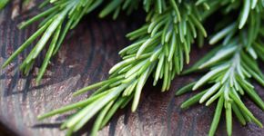 Foto: (Istock/kcline)