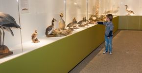 Como tornar o museu atrativo para as crianças? 