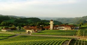 Conheça os melhores lugares para degustar vinhos no mundo
