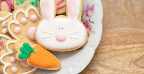 Foto: (Thais Ceneviva/iStock)