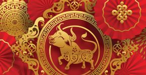 Veja as características do signo do Búfalo no Horóscopo Chinês