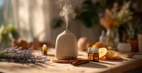 Diga adeus aos produtos sintéticos que poluem seu ar
