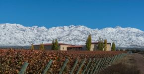 Foto: (Divulgação/Clos de los Siete)