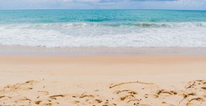 Foto: (Istock/Matheus Souza)