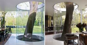 11 casas que unem o modernismo com a natureza