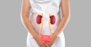 Foto: (Tharakorn/istock)