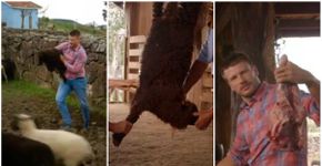Rodrigo Hilbert gera revolta ao matar filhote de ovelha em seu programa de culinária