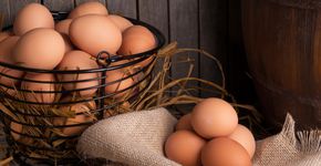 Foto: (iStock/ chas53)