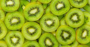 Foto: (iStock/banjongseal324)
