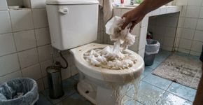 Levei muito tempo para entender por que o papel higiênico não deve ser jogado no vaso sanitário