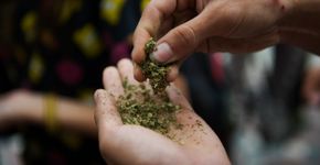 Foto: (Jorge Alberto Mendoza Mariscal/istock)