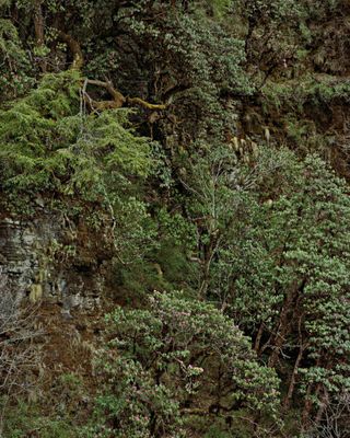 Os voluntários posaram em paisagens naturais exuberantes (Foto: Ruben Brulat)