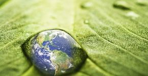 Sesc Consolação tem cursos e palestras sobre sustentabilidade