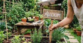 Se você encontrou pedaços de madeira sobrando, eles podem virar placas para plantas