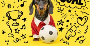 10 nomes para cachorro inspirados em times de futebol