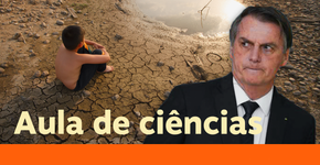 Relativizar aquecimento global mostra ignorância de Bolsonaro