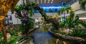 Foto: (Changi Airport Group)
