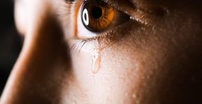 Culpa: como lidar com esse sentimento?