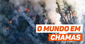 Entenda como o fogo na Amazônia virou uma crise internacional