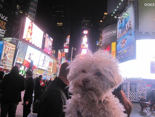 Nova York (EUA)