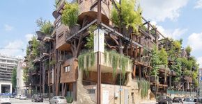 Não é mentira: conheça a casa na árvore gigante em Turim