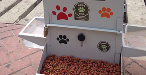 Comedouros públicos disponibilizam ração e água para cachorros em situação de rua