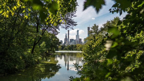 Central Park, Nova York (Estados Unidos)