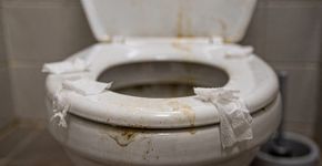 Muitas pessoas ainda não entendem por que não se deve limpar o assento do vaso sanitário com papel higiênico