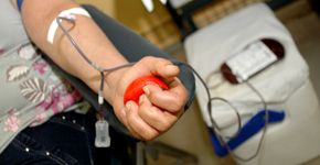Governo francês muda regras para doação de sangue de homossexuais