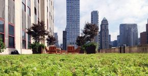 Empire State ganha teto verde que absorve água da chuva e tem espaço para convivência