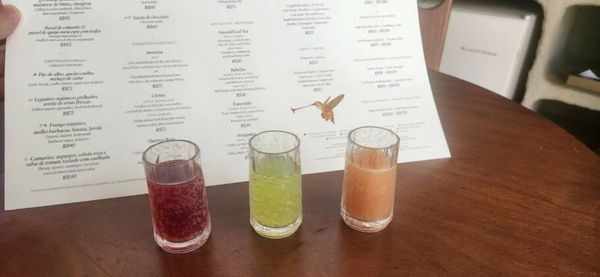 Carta tem drinques refrescantes e clássicos 