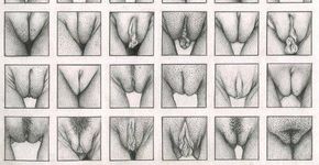 Por que as mulheres devem amar suas partes íntimas
