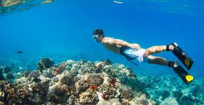 Foto: (Epic StockMedia/Shutterstock)
