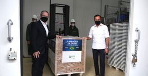Foto: (Divulgação/GESP)