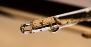 Foto: (Irina Chetverikova/istock)