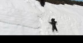 Mamãe Ursa ensinando seus filhotes como ser um Urso